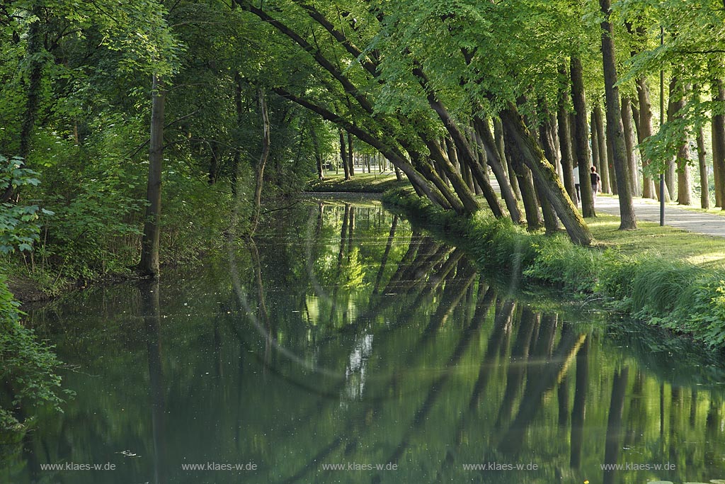 Moenchengladbach Wickrath Schlosspark Baumalle mit Schlossgraben und Spiegelbild; Moenchengladbach park of castle Wickrath in summer landscape with trees and mirror image