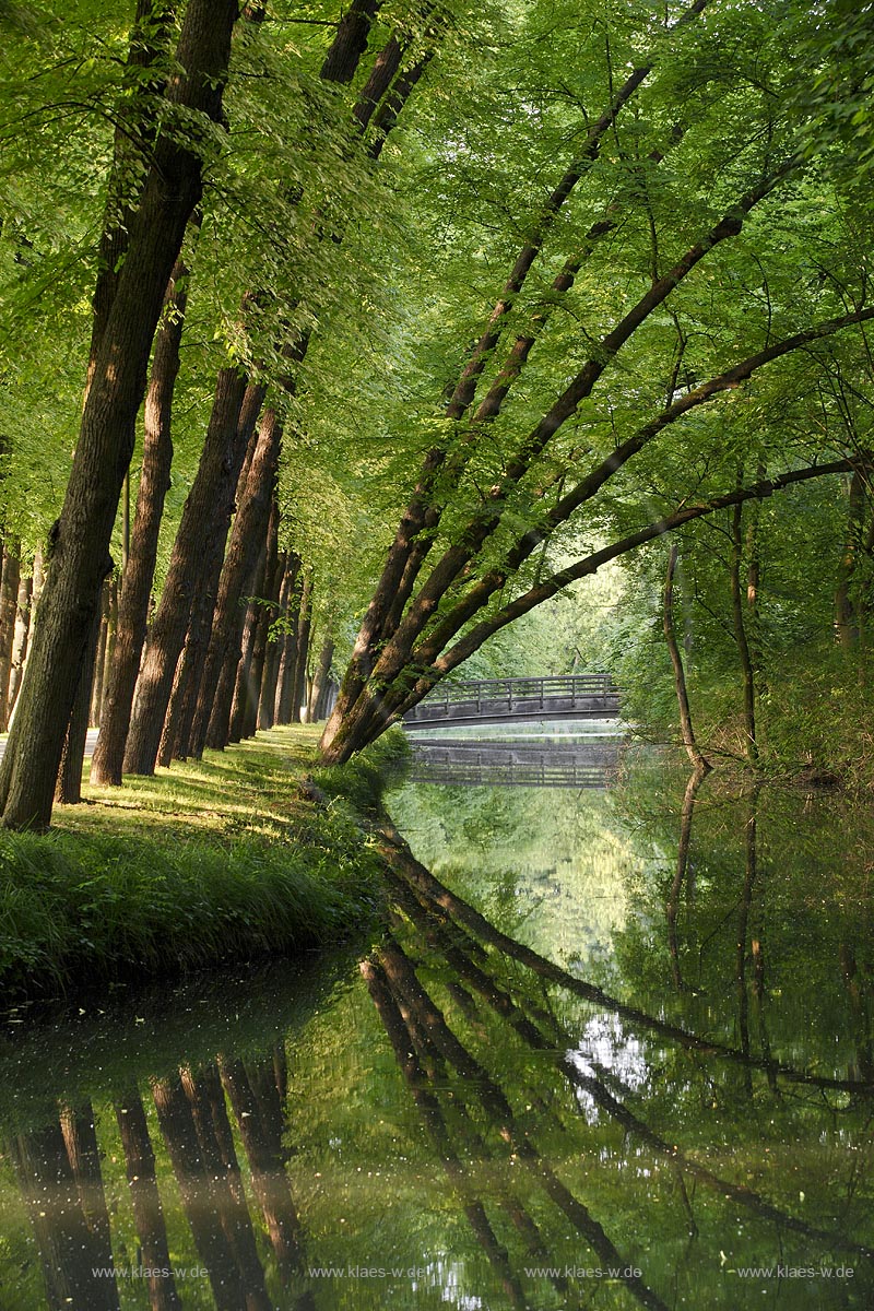Moenchengladbach Wickrath Schlosspark Baumalle mit Schlossgraben und Spiegelbild; Moenchengladbach park of castle Wickrath in summer landscape with trees and mirror image