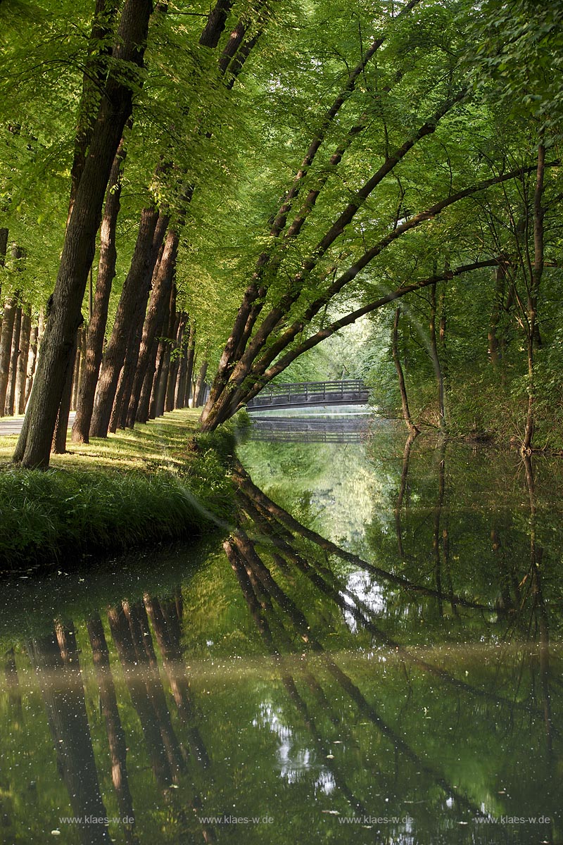 Moenchengladbach Wickrath Schlosspark Baumalle mit Schlossgraben und Spiegelbild; Moenchengladbach park of castle Wickrath in summer landscape with trees and mirror image