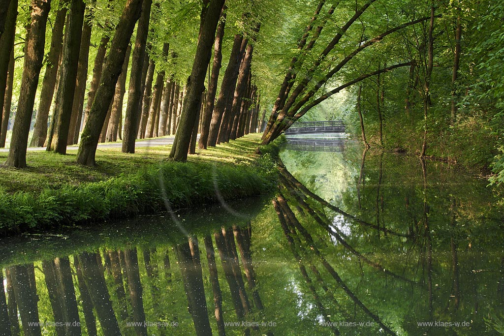 Moenchengladbach Wickrath Schlosspark Baumalle mit Schlossgraben und Spiegelbild; Moenchengladbach park of castle Wickrath in summer landscape with trees and mirror image