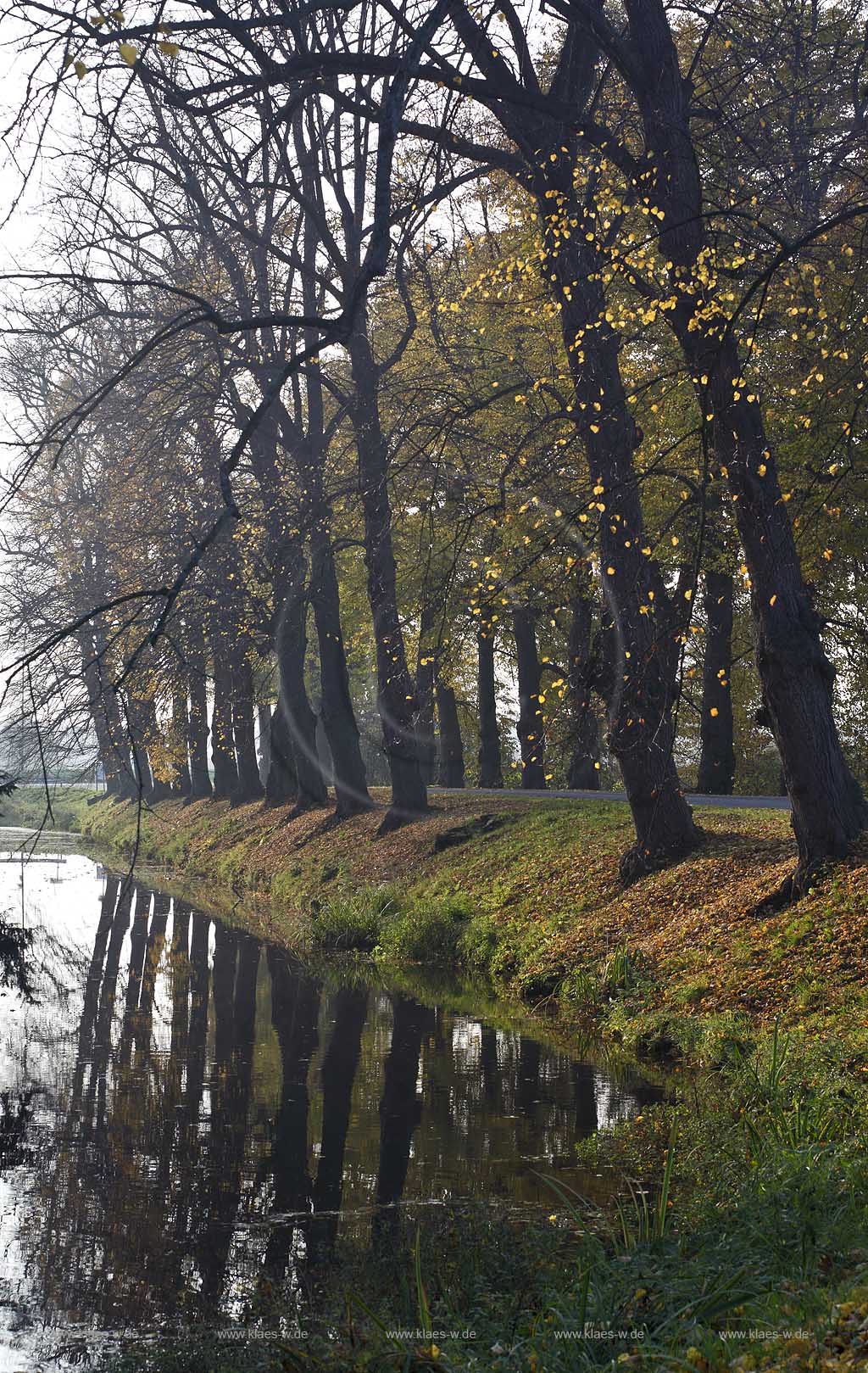 Weeze-Wissen, Schlossgraben mit Baumallee und Spiegelbild; Alley with trers and mirror image in the water moat of castle Wissen