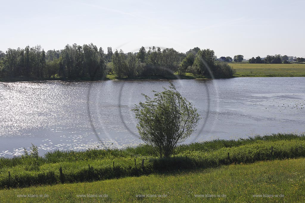 Rees-Bienen, Blick auf den Altrhein; Rees-Bienen, view to the river Altrhein.