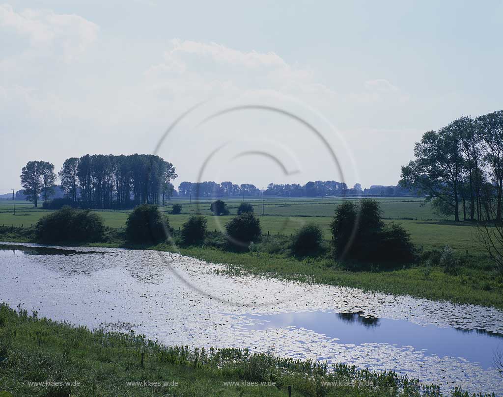 Bienen, Rees, Kreis Kleve, Niederrhein, Regierungsbezirk Dsseldorf, Blick auf Bienener Altrhein und Landschaft   