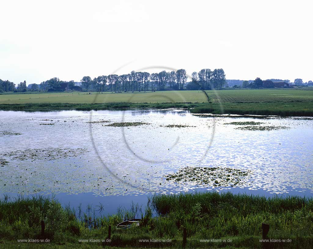 Bienen, Rees, Kreis Kleve, Niederrhein, Regierungsbezirk Dsseldorf, Blick auf Bienener Altrhein und Landschaft   