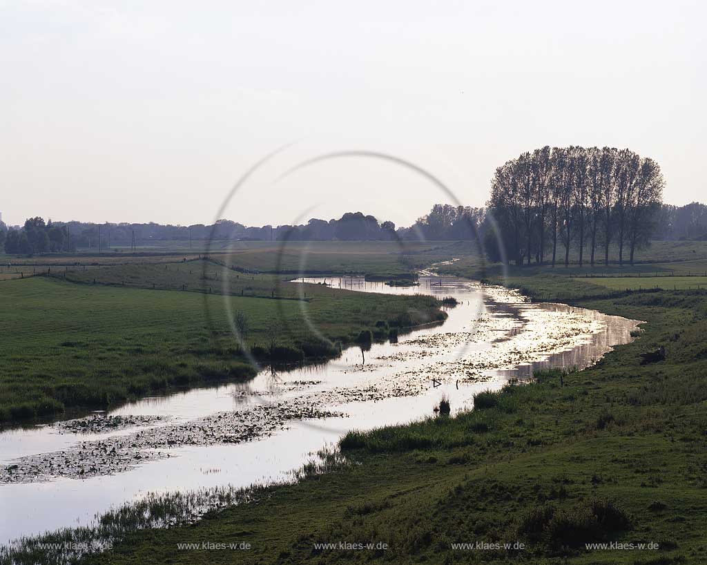 Bienen, Rees, Kreis Kleve, Niederrhein, Regierungsbezirk Dsseldorf, Blick auf Bienener Altrhein und Landschaft    