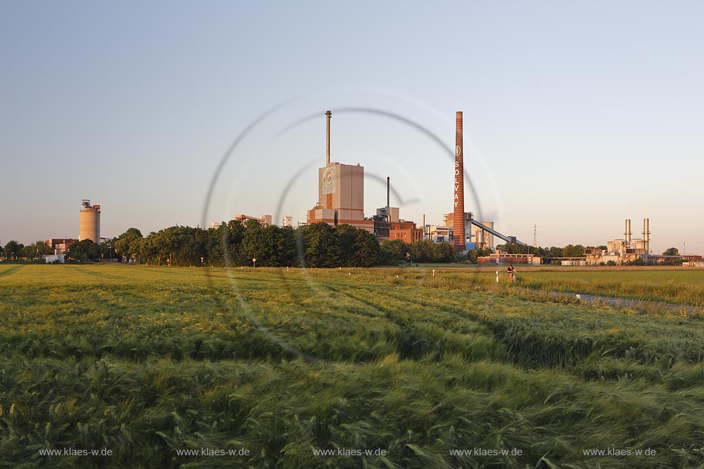 Rheinberg, Chemieunternehmen Solvay in der Abendsonne; Rheinberg, chemical company Solvay during the  setting sun.