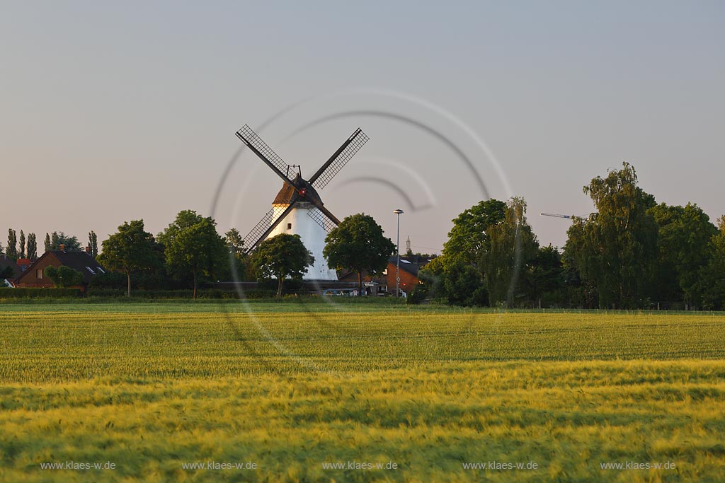 Rheinberg, Ossenberger Muehle, eine Turmwindmuehle; Rheinberg, mill Ossenberger Muehle.