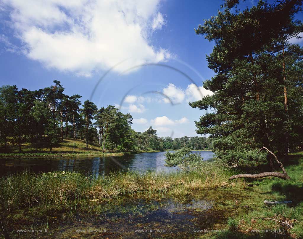 Hansestadt Wesel, Niederrhein; Ruhrgebiet, Regierungsbezirk Dsseldorf, Duesseldorf, Kreis Wesel, Flren, Flueren, Flrener, Fluerener Heide, Blick auf Schwarzes Wasser mit Sicht auf Landschaft 