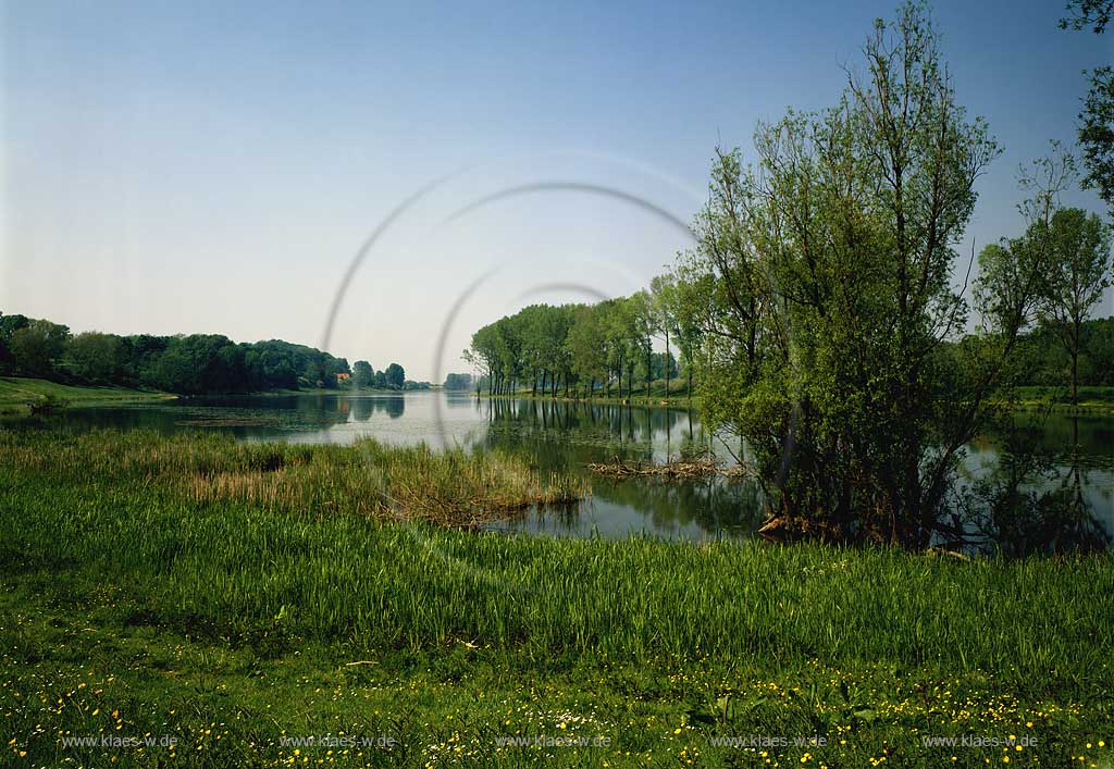 Bislicher Insel, Alter Rhein, Xanten, Kreis Wesel, Niederrhein, Regierungsbezirk Dsseldorf, Blick auf Alter Rhein und Landschaft  