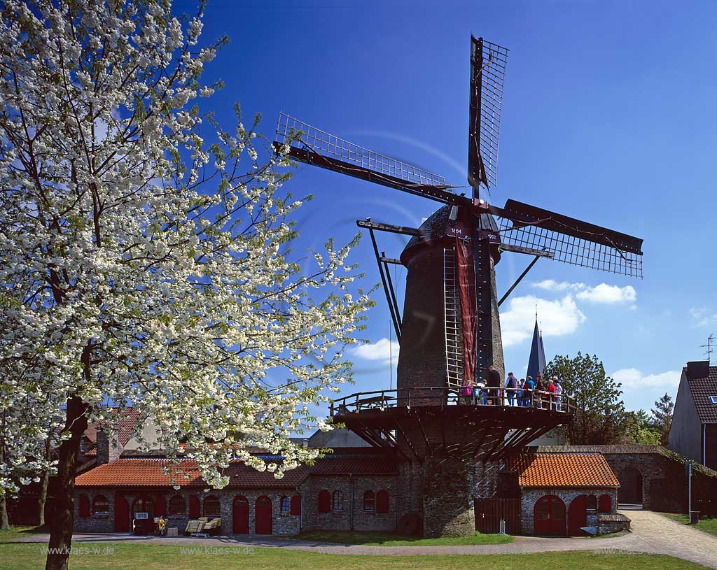 Xanten, Kreis Wesel, Niederrhein, Regierungsbezirk Dsseldorf, Blick auf Windmhle, Windmuehle Krimhildsmuehle, Krimhildsmhle mit Besuchern im Frhling, Fruehling mit Bluete, Blte  