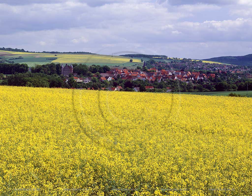 Barntrup, Kreis Lippe, Regierungsbezirk Detmold, Ostwestfalen, Blick ber, ueber Rapsfeld zur Stadt mit Sicht auf Schloss  