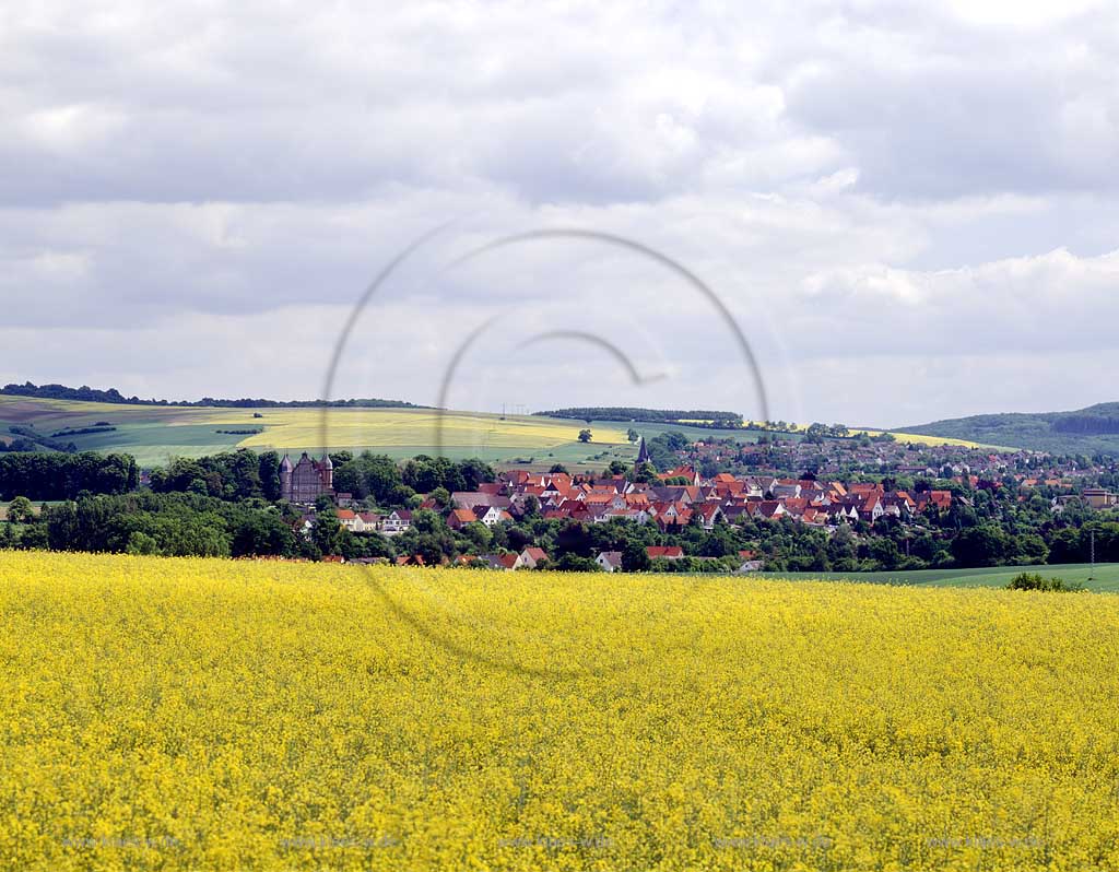 Barntrup, Kreis Lippe, Regierungsbezirk Detmold, Ostwestfalen, Blick ber, ueber Rapsfeld zur Stadt mit Sicht auf Schloss