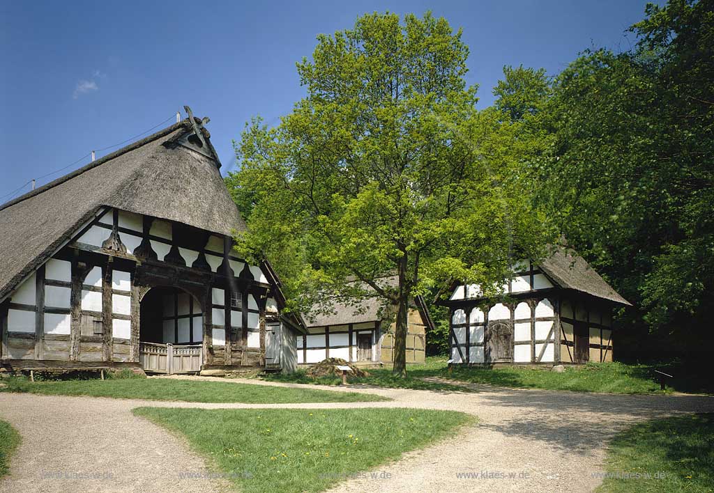 Detmold, Kreis Lippe, Regierungsbezirk Detmold, Ostwestfalen, Blick auf Westflisches, Westfaelisches Freilichtmuseum mit Historischen Haeusern, Husern in Sommerstimmung