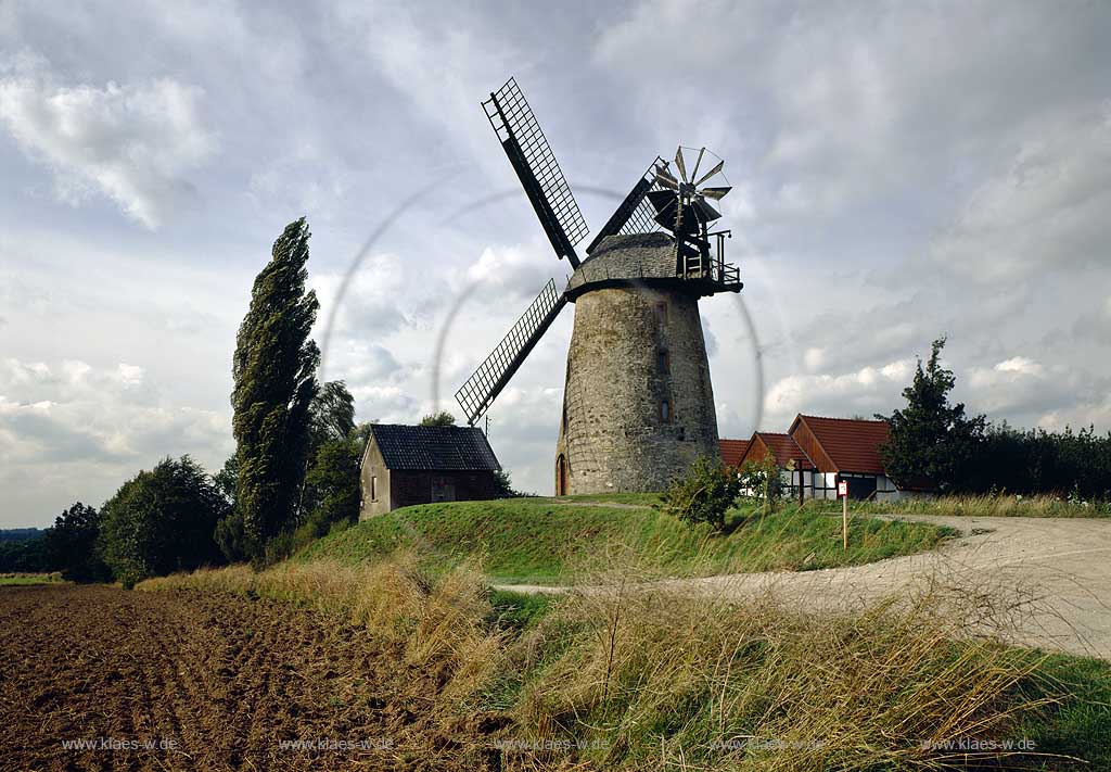 Enger, Kreis Herford, Regierungsbezirk Detmold, Ostwestfalen, Blick auf die Liesbergmhle, Liesbergmuehle, Windmhle, Windmuehle   