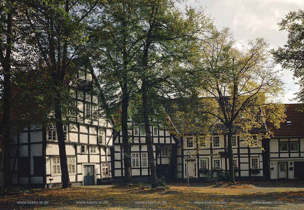 Halle, Kreis Gtersloh, Kreis Guetersloh, Regierungsbezirk Detmold, Ostwestfalen, Blick auf Fachwerkhaeuser, Fachwerkhuser am Kirchplatz in Herbststimmung