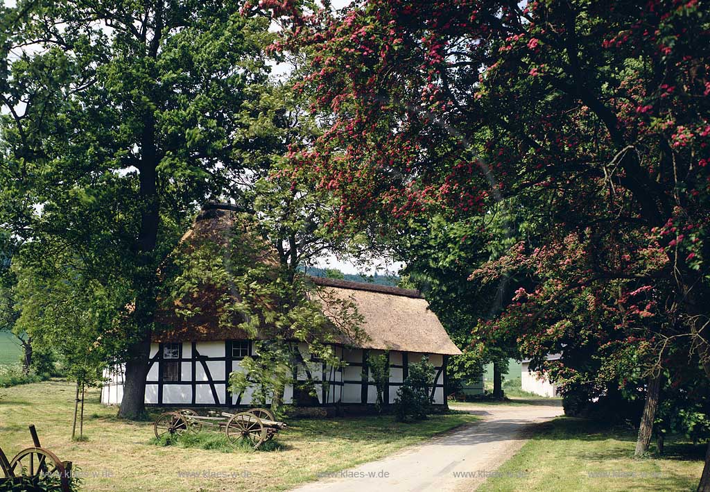 Oberbauerschaft, Huellhorst, Hllhorst, Kreis Minden-Lbbecke, Kreis Minden-Luebbecke, Regierungsbezirk Detmold, Ostwestfalen, Blick auf die Rossmuehle, Rossmhle in Frhlingslandschaft, Fruehlingslandschaft   