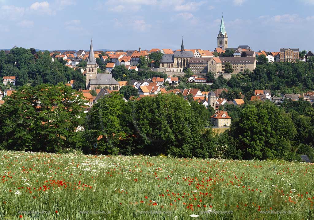 Warburg, Kreis Hxter, Kreis Hoexter, Ostwestfalen, Regierungsbezirk Detmold, Blick ber, ueber Blumenwiese, Mohnwiese auf die Stadt in Sommerstimmung    