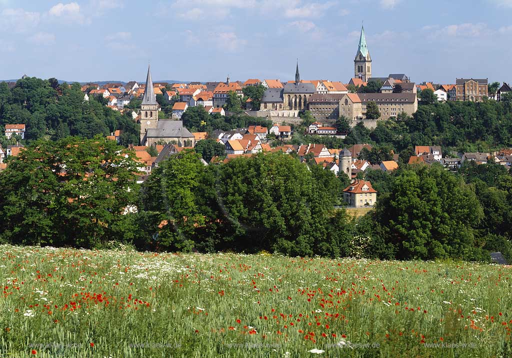 Warburg, Kreis Hxter, Kreis Hoexter, Ostwestfalen, Regierungsbezirk Detmold, Blick ber, ueber Blumenwiese, Mohnwiese auf die Stadt in Sommerstimmung    