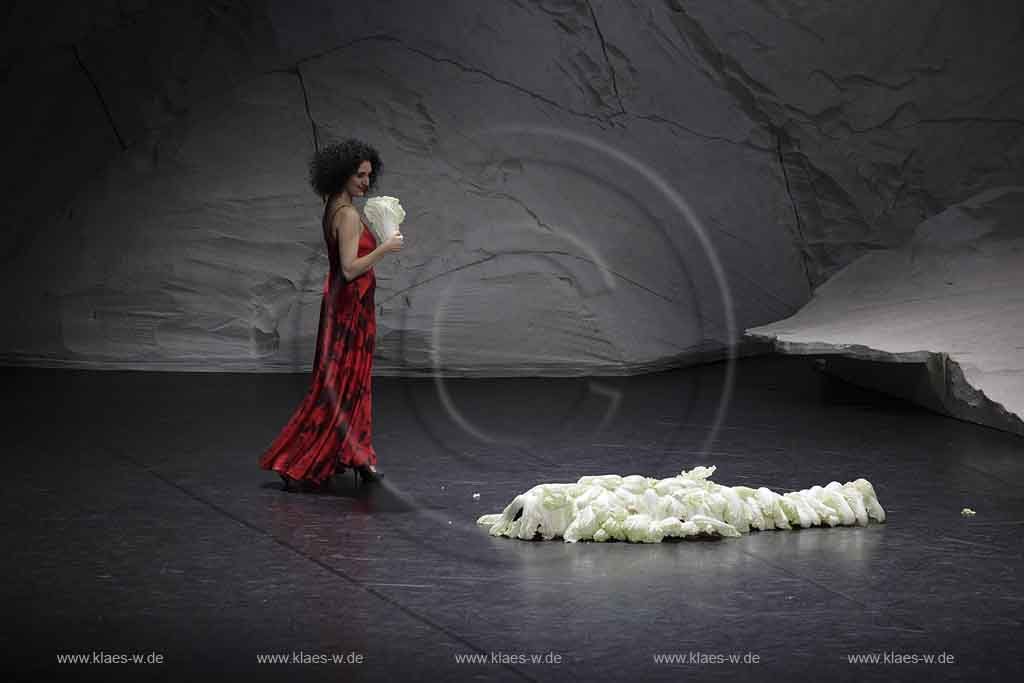 Blick auf Buehne, Bhne des Stadttheater in Wuppertal Elberfeld bei der Generalprobe des Stck, Stueck Rough Cut von Pina Bausch, Tanztheater Pina Bausch