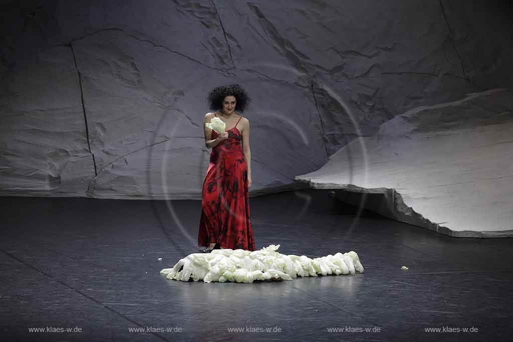 Blick auf Buehne, Bhne des Stadttheater in Wuppertal Elberfeld bei der Generalprobe des Stck, Stueck Rough Cut von Pina Bausch, Tanztheater Pina Bausch