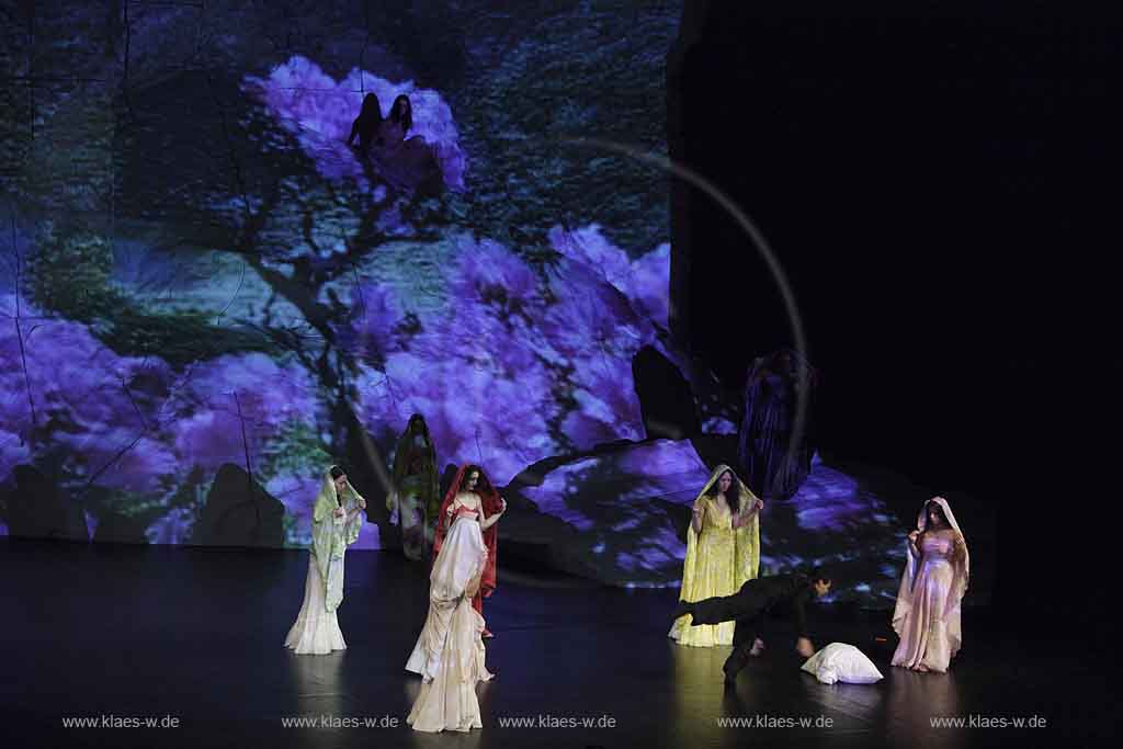 Blick auf Buehne, Bhne des Stadttheater in Wuppertal Elberfeld bei der Generalprobe des Stck, Stueck Rough Cut von Pina Bausch, Tanztheater Pina Bausch