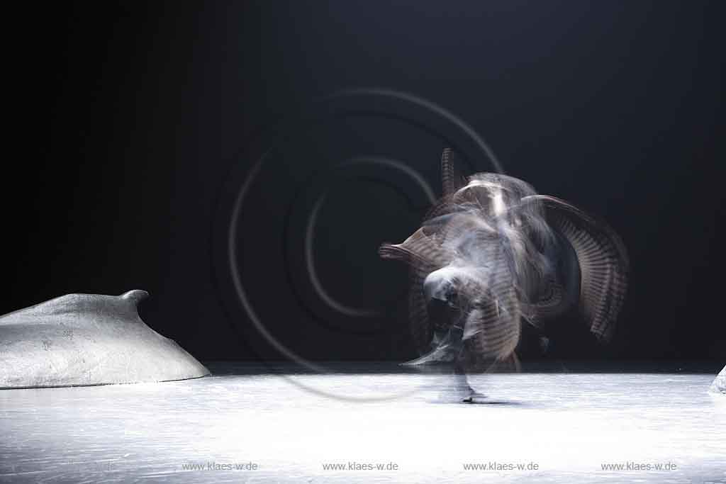 Blick auf Buehne, Bhne des Stadttheater in Wuppertal Elberfeld bei der Generalprobe des Stck, Stueck Ten Chi von Pina Bausch, Tanztheater Pina Bausch