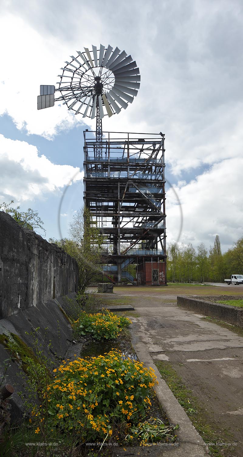 Duisburg Meiderich. Windenergieturms mit Sumpfdotterblume. Der Landschaftspark Duisburg-Nord, auch kurz LaPaDu ist ein etwa 200 Hektar groer Landschaftspark rund um ein stillgelegtes Huettenwerk in Duisburg-Meiderich, das im Rahmen der IBA (Internationale Bauausstellung Emscher Park) entstand. Der Landschaftspark ist einer der Ankerpunkte der Europaeischen Route der Industriekultur sowie der Route der Industriekultur im Ruhrgebiet;  Duisburg-Meiderich, the Meiderich ironworks are the main feature in the North Duisburg Landscape Park,wind turbine tower with kingcup in flower