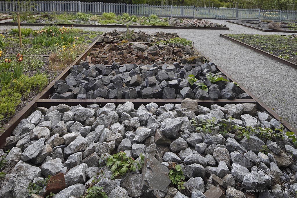 Duisburg Meiderich. Hamborner Stadtrandrandgarten. Der Landschaftspark Duisburg-Nord, auch kurz LaPaDu ist ein etwa 200 Hektar groer Landschaftspark rund um ein stillgelegtes Huettenwerk in Duisburg-Meiderich, das im Rahmen der IBA (Internationale Bauausstellung Emscher Park) entstand. Der Landschaftspark ist einer der Ankerpunkte der Europaeischen Route der Industriekultur sowie der Route der Industriekultur im Ruhrgebiet;  Duisburg-Meiderich, the Meiderich ironworks are the main feature in the North Duisburg Landscape Park, Hamborners outskirts garden