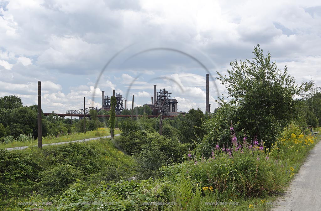 Duisburg Meiderich. Blick ueber bluehende Landschaft mit Schmalblaettrigem Weidenroeschen und Tuepfel-Hartheu zum Hochofen. Der Landschaftspark Duisburg-Nord, auch kurz LaPaDu ist ein etwa 200 Hektar grosser Landschaftspark rund um ein stillgelegtes Huettenwerk in Duisburg-Meiderich, das im Rahmen der IBA (Internationale Bauausstellung Emscher Park) entstand. Der Landschaftspark ist einer der Ankerpunkte der Europaeischen Route der Industriekultur sowie der Route der Industriekultur im Ruhrgebiet;  Duisburg-Meiderich, the Meiderich ironworks are the main feature in the North Duisburg Landscape Park, view blast furnace.