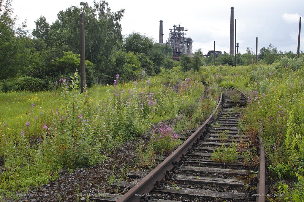 Duisburg Meiderich. Blumenvegetation Wildwuchs in Bahngleis, im Hintergrund der Hochofen. Der Landschaftspark Duisburg-Nord, auch kurz LaPaDu ist ein etwa 200 Hektar grosser Landschaftspark rund um ein stillgelegtes Huettenwerk in Duisburg-Meiderich, das im Rahmen der IBA (Internationale Bauausstellung Emscher Park) entstand. Der Landschaftspark ist einer der Ankerpunkte der Europaeischen Route der Industriekultur sowie der Route der Industriekultur im Ruhrgebiet;  Duisburg-Meiderich, the Meiderich ironworks are the main feature in the North Duisburg Landscape Park, wild flower between railroad.