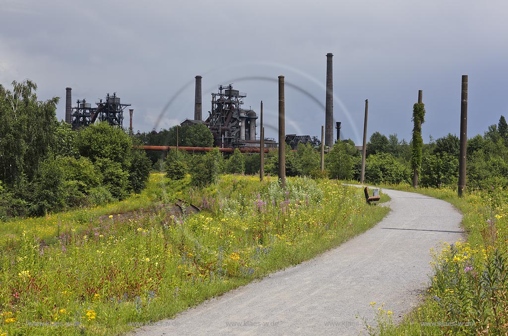 Duisburg Meiderich. Blick ueber bluehende Landschaft mit Tuepfel-Hartheu, Kreuzkraut, Schmalblaettriges Weidenroeschen, Blauer Natterkopf und Bahngleis, Schieneenstrang zum Hochofen, verwildert. Der Landschaftspark Duisburg-Nord, auch kurz LaPaDu ist ein etwa 200 Hektar grosser Landschaftspark rund um ein stillgelegtes Huettenwerk in Duisburg-Meiderich, das im Rahmen der IBA (Internationale Bauausstellung Emscher Park) entstand. Der Landschaftspark ist einer der Ankerpunkte der Europaeischen Route der Industriekultur sowie der Route der Industriekultur im Ruhrgebiet;  Duisburg-Meiderich, the Meiderich ironworks are the main feature in the North Duisburg Landscape Park, wild flowers with railroad and blast funace..