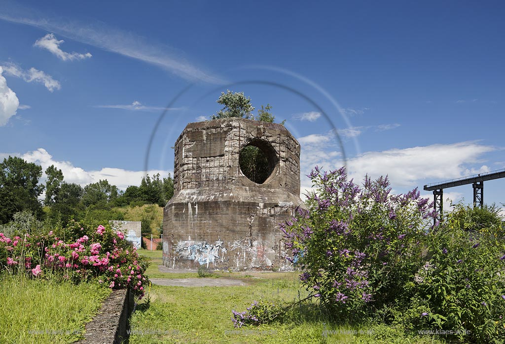 Duisburg Meiderich. Sinterplatz mit Heckenrose und Schmetterlingsstrauch. Der Landschaftspark Duisburg-Nord, auch kurz LaPaDu ist ein etwa 200 Hektar grosser Landschaftspark rund um ein stillgelegtes Huettenwerk in Duisburg-Meiderich, das im Rahmen der IBA (Internationale Bauausstellung Emscher Park) entstand. Der Landschaftspark ist einer der Ankerpunkte der Europaeischen Route der Industriekultur sowie der Route der Industriekultur im Ruhrgebiet;  Duisburg-Meiderich, the Meiderich ironworks are the main feature in the North Duisburg Landscape Park, day bunker garden.