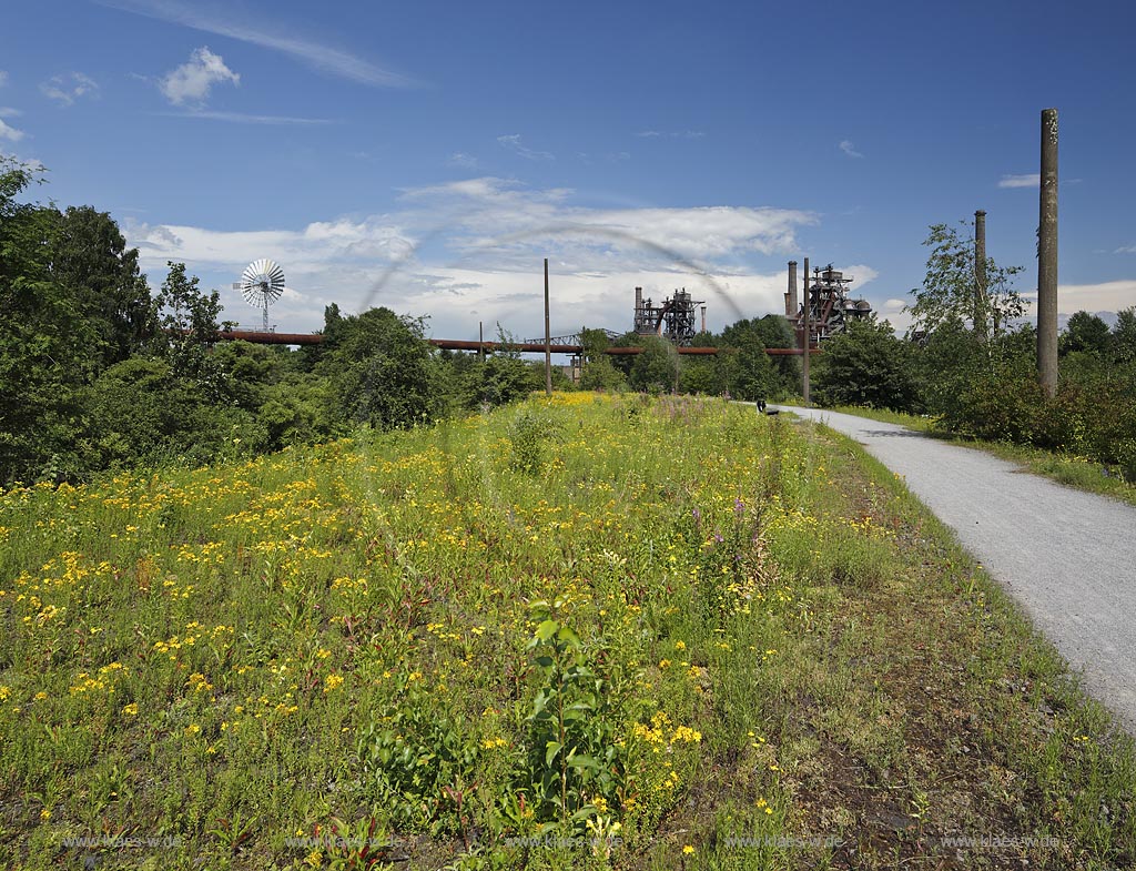 Duisburg Meiderich. Blick ueber bluehende Landschaft zum Hochofen. Der Landschaftspark Duisburg-Nord, auch kurz LaPaDu ist ein etwa 200 Hektar grosser Landschaftspark rund um ein stillgelegtes Huettenwerk in Duisburg-Meiderich, das im Rahmen der IBA (Internationale Bauausstellung Emscher Park) entstand. Der Landschaftspark ist einer der Ankerpunkte der Europaeischen Route der Industriekultur sowie der Route der Industriekultur im Ruhrgebiet;  Duisburg-Meiderich, the Meiderich ironworks are the main feature in the North Duisburg Landscape Park, view blast furnace.