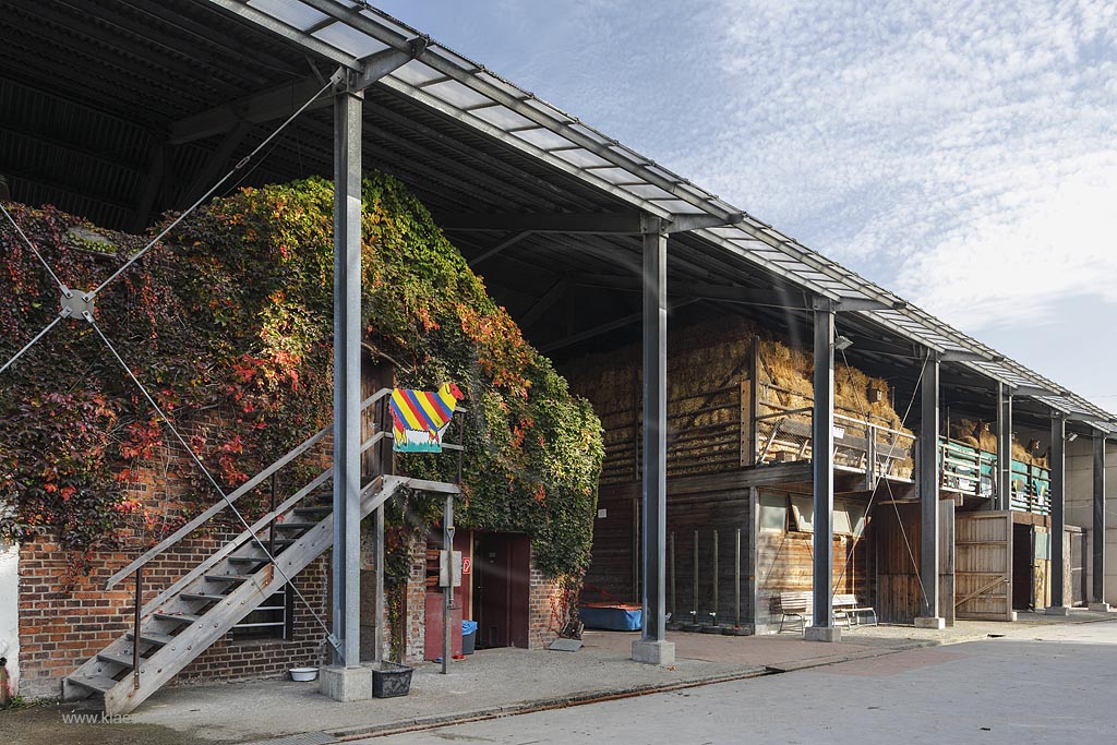  Duisburg-Meiderich, Lernbauernhof Ingenhammshof. LaPaDu ist ein etwa 200 Hektar grosser Landschaftspark rund um ein stillgelegtes Huettenwerk in Duisburg-Meiderich. Der Landschaftspark ist einer der Ankerpunkte der Europaeischen Route der Industriekultur sowie der Route der Industriekultur im Ruhrgebiet ; Duisburg-Meiderich, thriving farming economy Ingenhammshof.