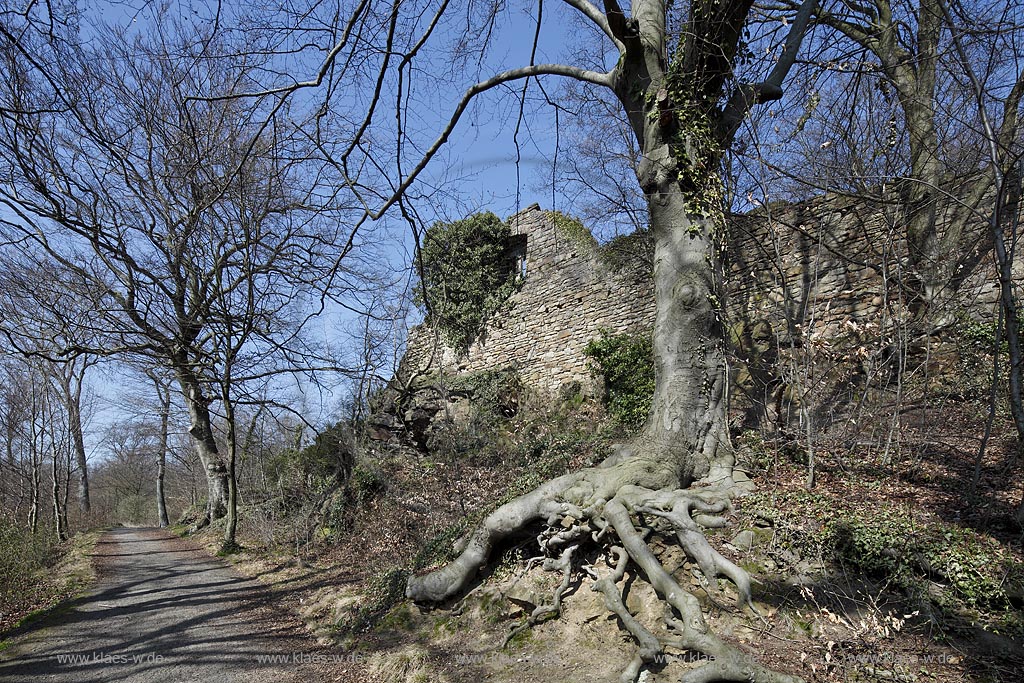 Essen Bredeney, Ruine Neue Isenburg, Aussenansicht; Essen Bredeney, ruine of castle New Isenburg.