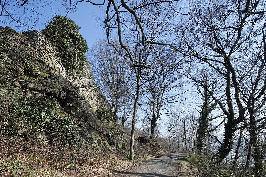 Essen Bredeney, Ruine Neue Isenburg, Aussenansicht; Essen Bredeney, ruine of castle New Isenburg.