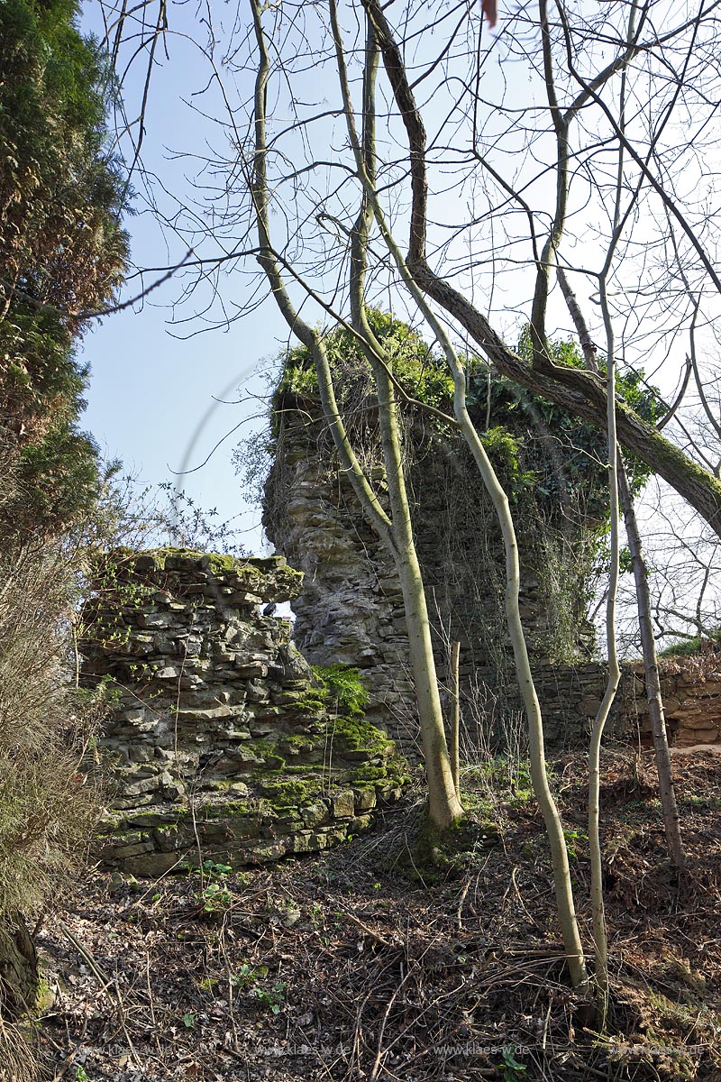 Essen Bredeney, Ruine Neue Isenburg, Halbrunder Turm bzw. Vorburgturm; Essen Bredeney, ruine of castle New Isenburg, halfround tower.