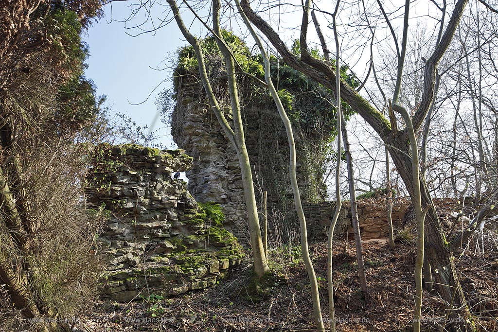 Essen Bredeney, Ruine Neue Isenburg, Halbrunder Turm bzw. Vorburgturm; Essen Bredeney, ruine of castle New Isenburg, halfround tower.