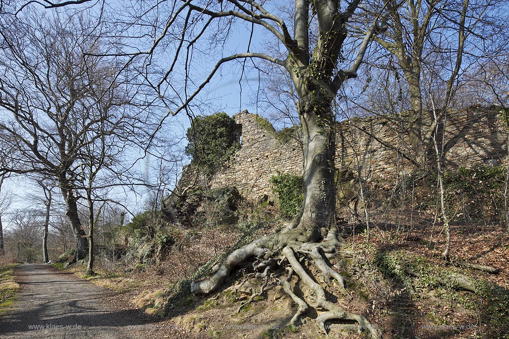 Essen Bredeney, Ruine Neue Isenburg, Aussenansicht; Essen Bredeney, ruine of castle New Isenburg.