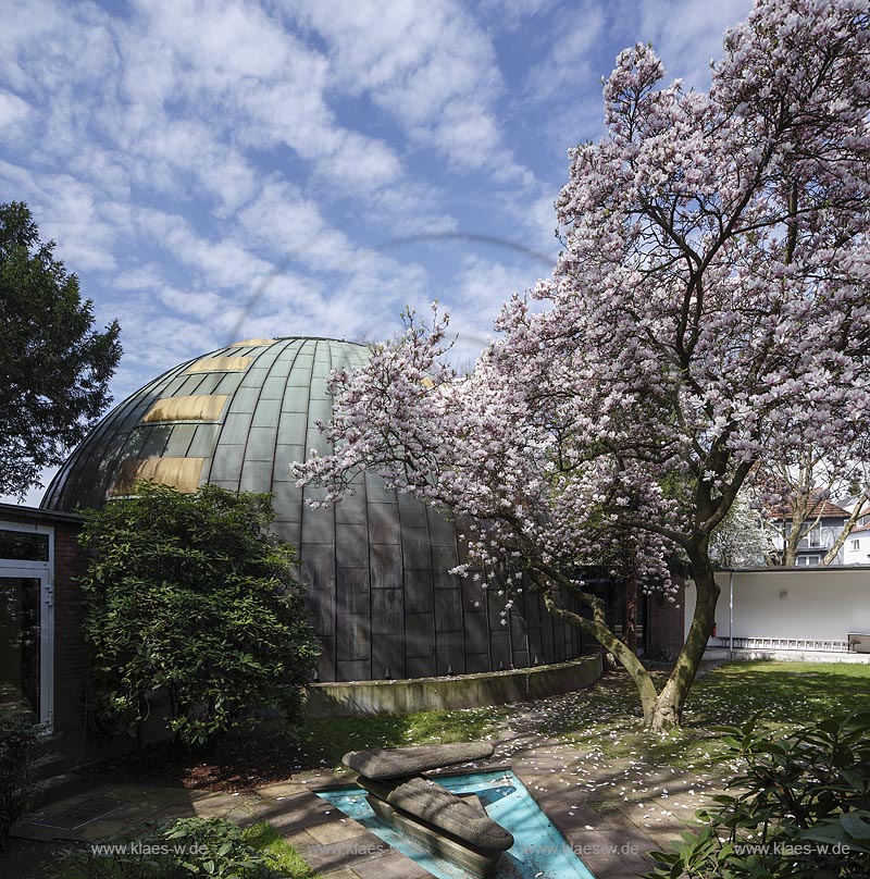 Essen Huttrop, Neue Synagoge "Haus des Gebets", "Haus der Versammlung", Innenhof mit Kuppel, Brunnen und Magnolie; Essen Huttrop, synagogue Neue Synagoge, inner courtyard with cupola, font and magnolia.