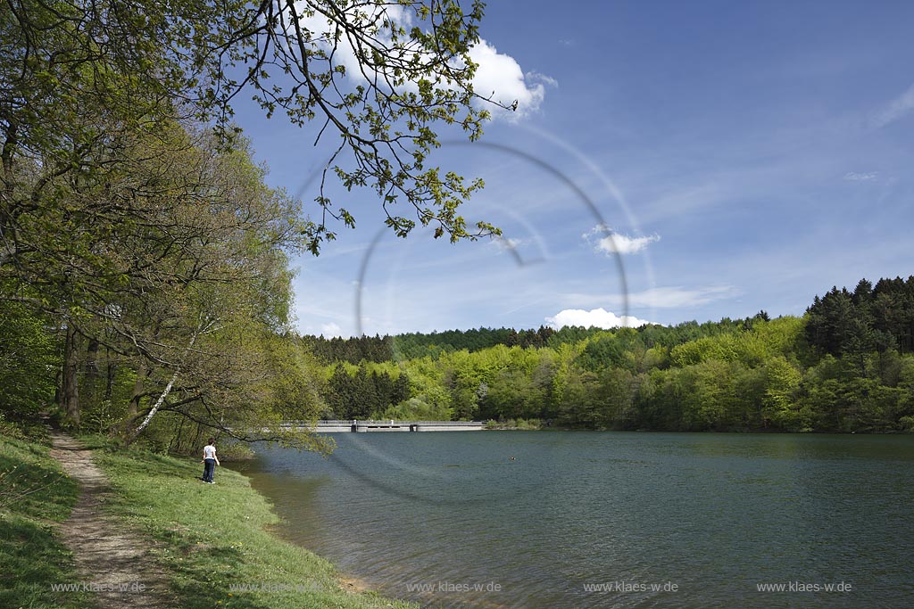 Breckerfeld, Schalksmhle und Halver, Blick auf die Gloertalsperre mit Spaziergaengern im Fruehling, sie sorgt fr die Abgabe von Betriebswasser an die wassergetriebenen Werke im Gloertal und im unteren Volmetal sowie fr die Aufhoehung der Ruhr bei Niedrigwasser; Breckerfeld, Schalksmuehle and Halver, view onto the barrier lake Gloertalsperre in spring.