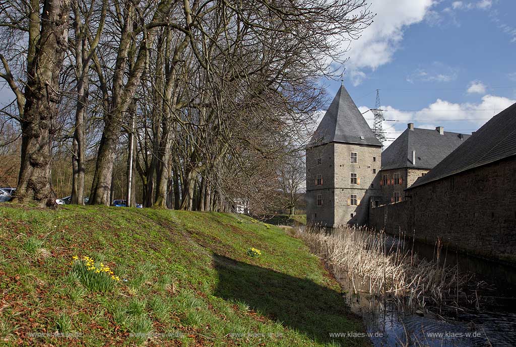 Hattingen Blankenstein Wasserschloss Haus Kemnade im Fruehling mit bluehenden Narzissen gelb und kahlen Kastanienbaeumen; Hattingen moated castle Kemnade in springtime 