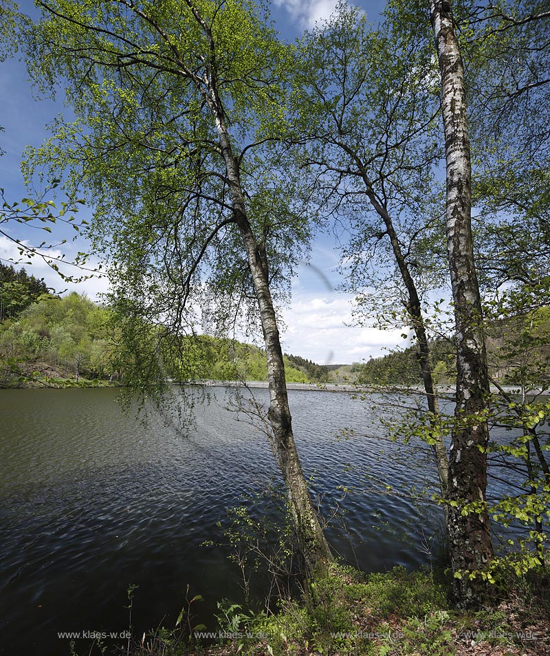 Ennepetal, Blick auf die Heilenbecker Talsperre, die heute fast ausschliesslich der Trinkwasserversorgung dient; Ennepetal, view to the barrier lake Heilenbecker Talsperre.