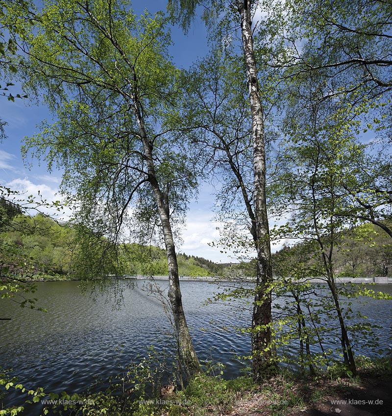 Ennepetal, Blick auf die Heilenbecker Talsperre, die heute fast ausschliesslich der Trinkwasserversorgung dient; Ennepetal, view to the barrier lake Heilenbecker Talsperre.