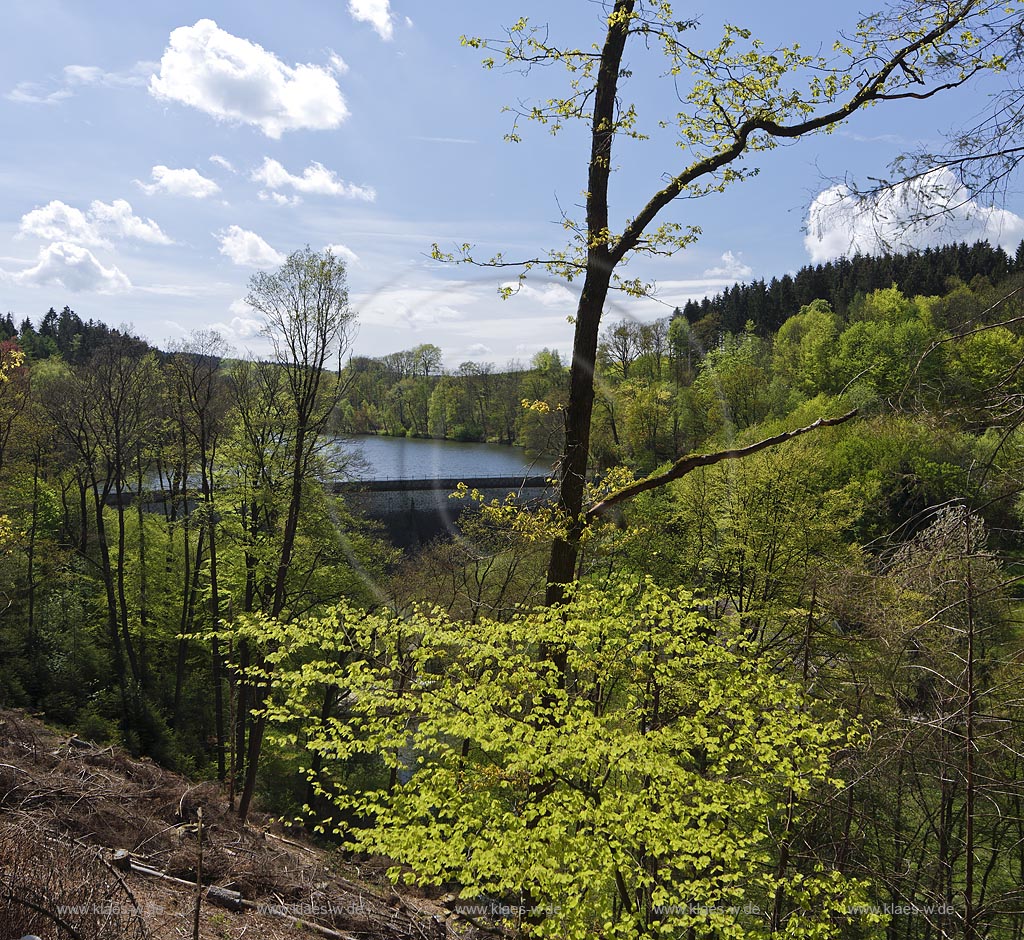 Ennepetal, Fruehling an der Heilenbecker Talsperre, die heute fast ausschliesslich der Trinkwasserversorgung dient; Ennepetal, view to the barrier lake Heilenbecker Talsperre.