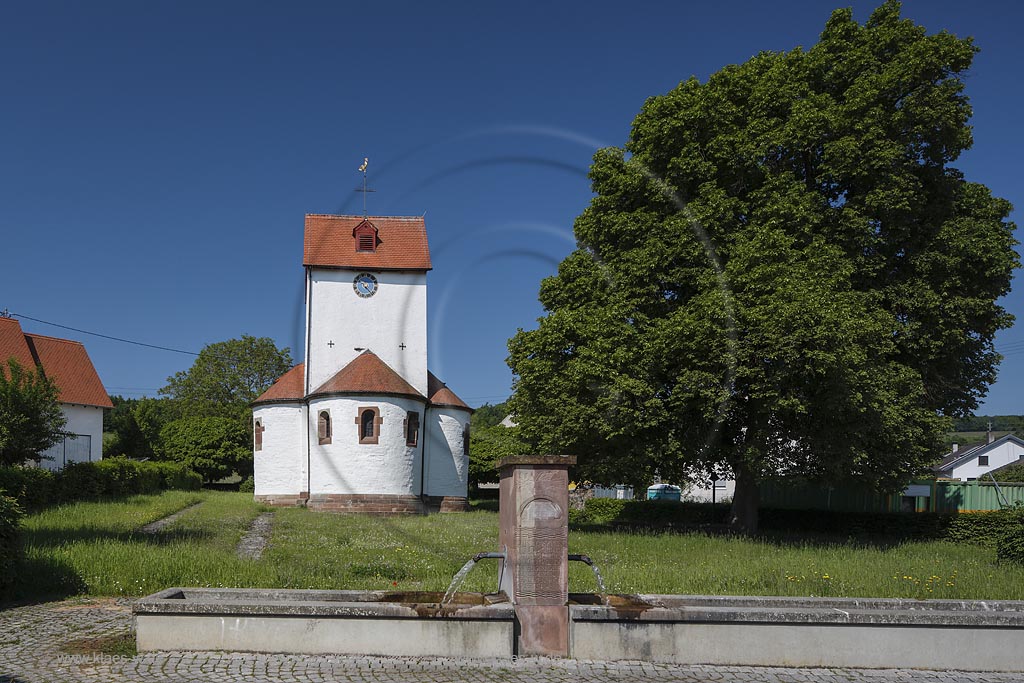 Blieskastel Boeckweiler, die Stephanuskirche mit Drei-Konchen-Anlage, deren Grundriss ein gleichmaessiges Kleeblatt beschreibt. Dieser Chorturm mit den drei Konchen gilt als der einzige Bauteil, der noch aus dem Mittelalter stammt. Nicht zuletzt wegen dieser seltenen Gestaltung ist sie ein Kleinod romanischer Baukunst. Die Stephanuskirche ist eine der 65 Simultankirchen in Deutschland und die einzige im Saarland; Blieskastel Boeckweiler, exterior view of church Stephanuskirche.