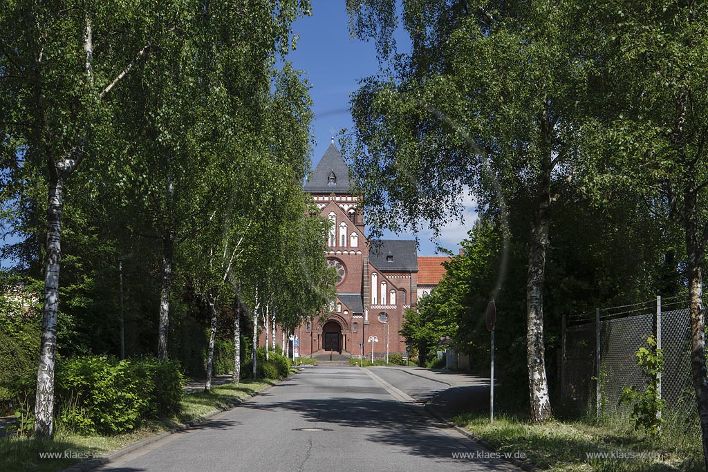 St. Wendel, Blick durch Birkenallee auf Kirche des Steyler Missionshauses; St. Wendel, view through the trees to the church of a seat of a missionary society of the Steyler Missionare.