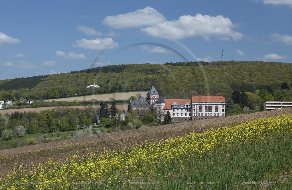 St. Wendel Missionshaus der Steyler Missionare Die Steyler Missionare, offiziell Gesellschaft des Goettlichen Wortes (lat. Societas Verbi Divini), sind eine roemisch-katholische Ordensgemeinschaft paepstlichen Rechts ; St. Wendel mission station of the Steyler missionary