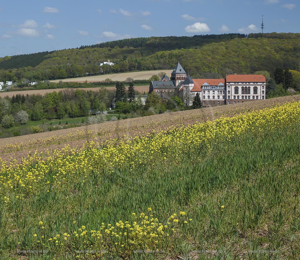 St. Wendel Missionshaus der Steyler Missionare Die Steyler Missionare, offiziell Gesellschaft des Goettlichen Wortes (lat. Societas Verbi Divini), sind eine roemisch-katholische Ordensgemeinschaft paepstlichen Rechts ; St. Wendel mission station of the Steyler missionary