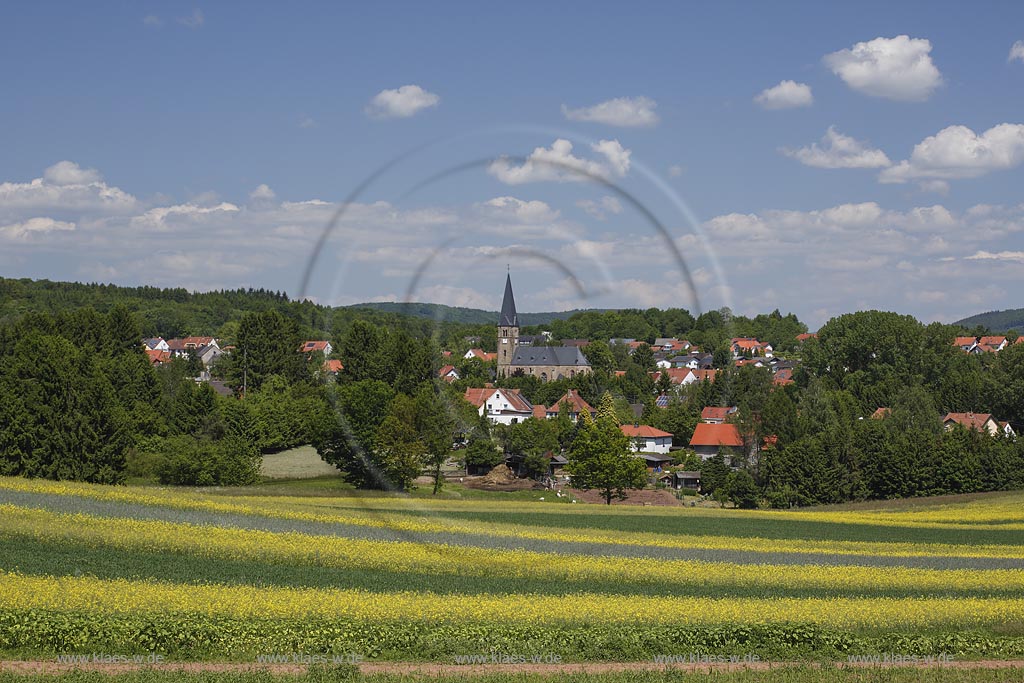 St. Wendel, Fernsicht ueber Rapsfelder nach Winterbach;  St. Wendel, visibility to Winterbach.